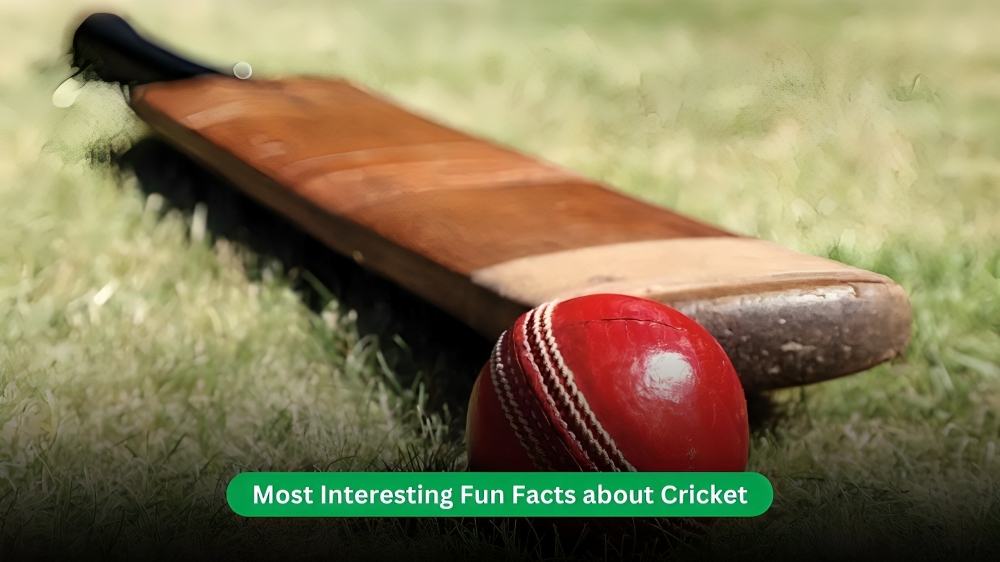 Fun Facts about Cricket